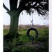 Tire Swing Polaroid - 8x10 Signed Photograph, Tree, Childhood