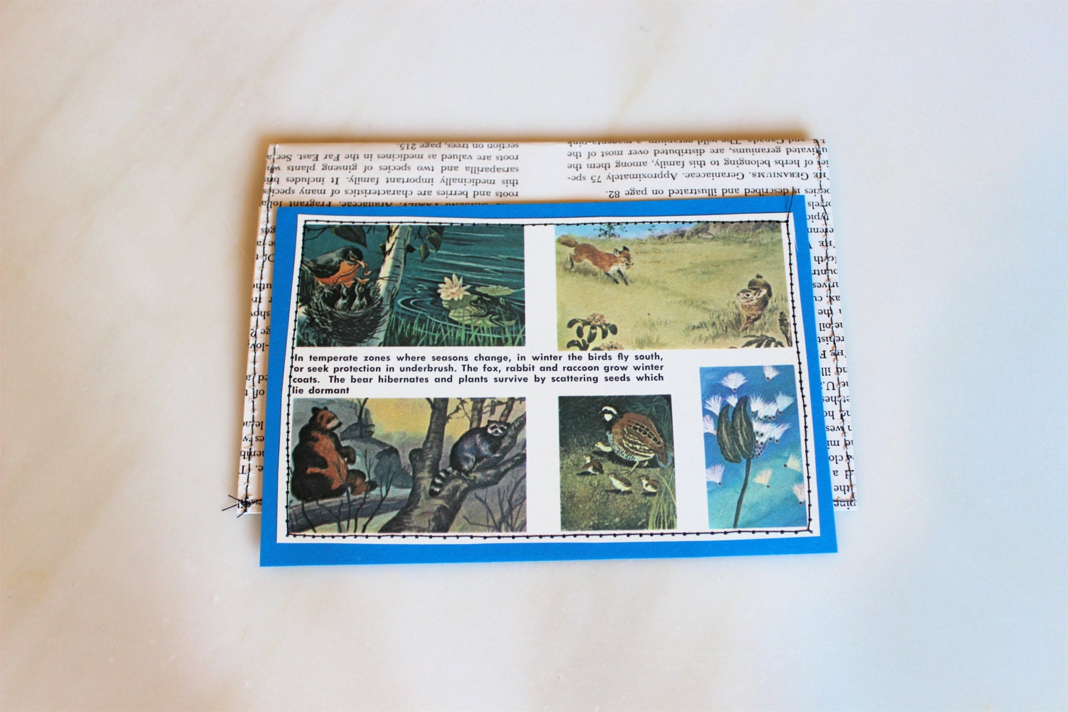 a variety of forest creatures handmade card