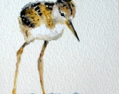 Baby Bird watercolor painting original art Black Necked Stilt shorebird - free shipping within continental USA