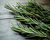 Kitchen decor, fine art food photography, fresh herbs, farmhouse country kitchen, rustic wall art, dark green, gray, wood 8x10 - "Rosemary"