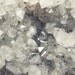 Crystal photograph, mineral quartz, gem, gemstone, gray nature wall art, silver, sparkle photography print 8x10 - Crystal Cave