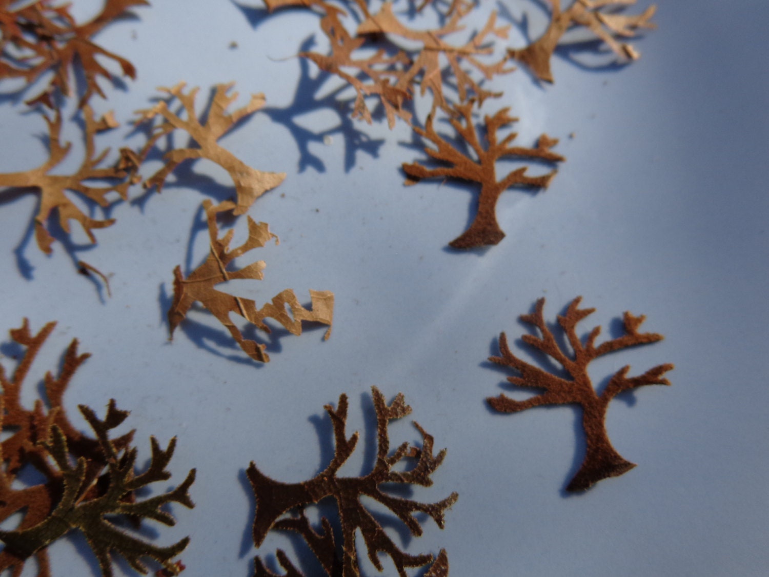25 Die Cut Hand Punched Trees Variety of Real Leaves forest woodland  THE REAL THING Free ship