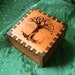 Terri's Tree Cedar Small Jeweler's Box