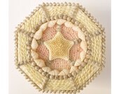 Seashell Box Vintage Shells Sailors Valentine Style Shell Box Sea  Vintage Ocean Decor Handmade Shell Box  Marine