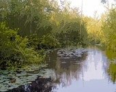Art, Nature, Woodland, Spring, Summer, Pond, Water Lilies, Photography, Painted Photographs, Fine Art Print,  Home Decor, Wall Art