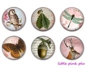 WOODLAND FOREST Magnets - Set of Six - 1.25 inches