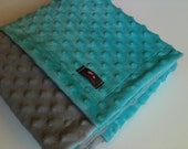 Minky Blanket- Gray and Aqua Blue 35 x 30