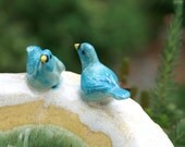 bird bowl - Bluebirds on a bowl - handmade porcelain bowl