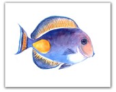 giclee print tang fish 8x10. Watercolor painting. ,blue fish, tropical fish .Home decor,  tropical art.,nautical fish