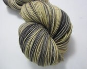 Waxing Moon Yarn - Softly Striping Lyra's Eyes