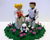 Leia and Han as Stormtrooper Cake Topper in Flower Patch
