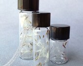 bottle of wishes