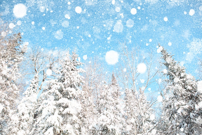 Snow photography, cobalt blue, winter photo, snowy forest, blue sky, snowflake, white wedding, fir tree