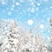 30% OFF Snow photography, cobalt blue, winter photo, snowy forest, blue sky, snowflake, white wedding, fir tree