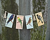 Spring Chic - Vintage bird flashcard garland