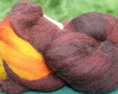 SALE Polwarth Wool Spinning Fiber - 'Harelquin Dark' SALE