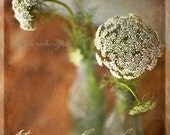 Still life print "Defend What You Love" 8 x 12 print Queen Anne's lace flower native plant vase green brown by Bettina Woolbright