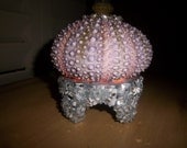 Beach Decor-From Sushi To  Sea Urchin Table Night Light