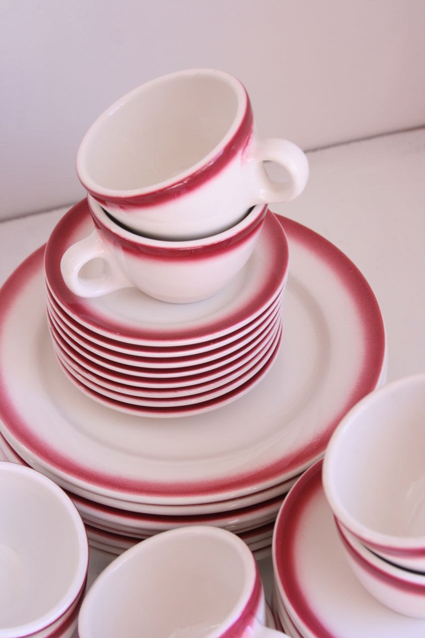 Vintage Homer Laughlin rose border restaurant ware set of 24