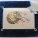 Antique Velvet Christmas Card Picture