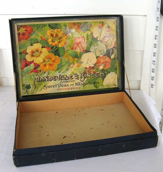 Victorian 1890s  Mandeville & King Sweet Peas, Nasturtiums Flower Seeds Advertising Counter Box, All Original, Rochester NY