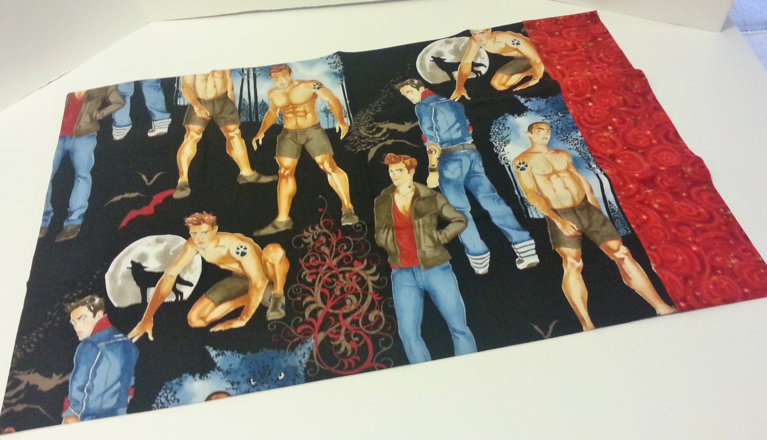 Hot Guys Vampires and Werewolves Standard size Pillow Case