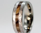 Petrified Wood and Gibeon Meteorite inlaid on a Titanium Ring - Engraving Available