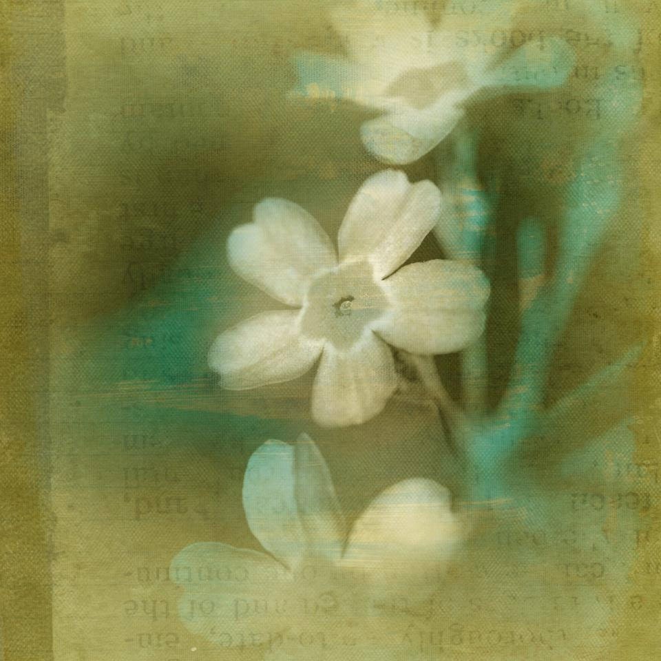 Things Will Change 8x8 Print