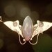 Sterling Silver Angelite Hawkmoth Necklace
