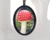Amanita Deliciosa - science glass pendant