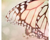 Butterfly Photograph, pastels, peach, dreamy, monarch, Flutterby, nature fine art print 8x8