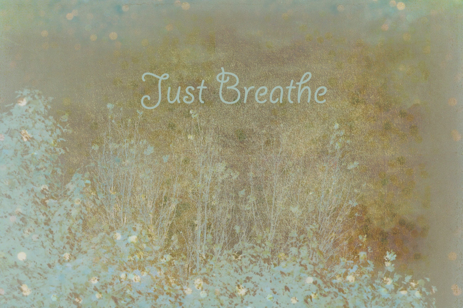 Abstract Photography, typography, grayed jade, sepia, Just Breathe, natur fine art print 8x10