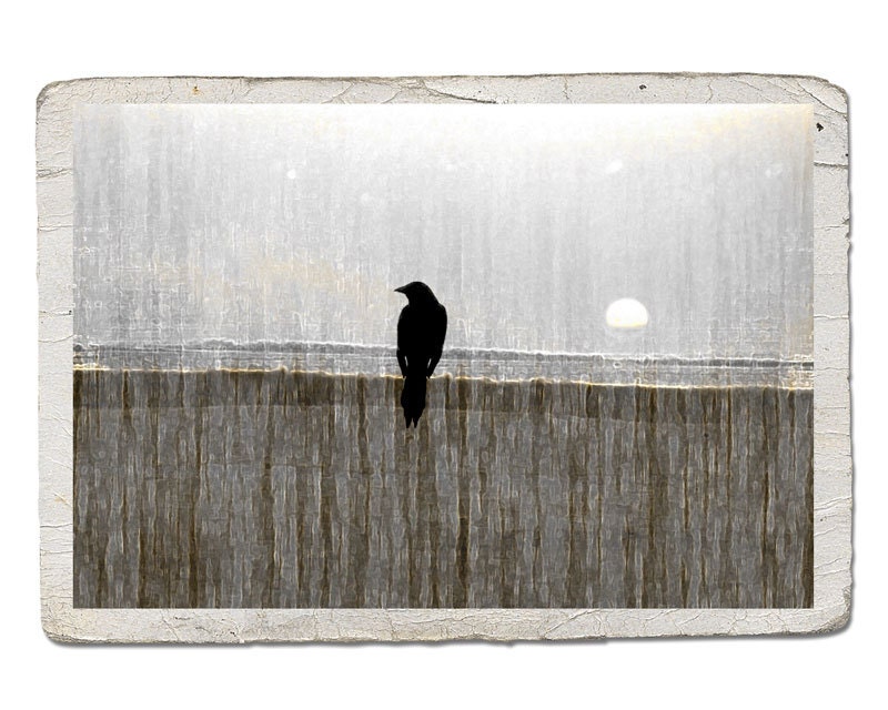 Bird Silhouette Gray Neutral Decor Vintage Style Landscape Photograph -Crow Raven Sun Moon