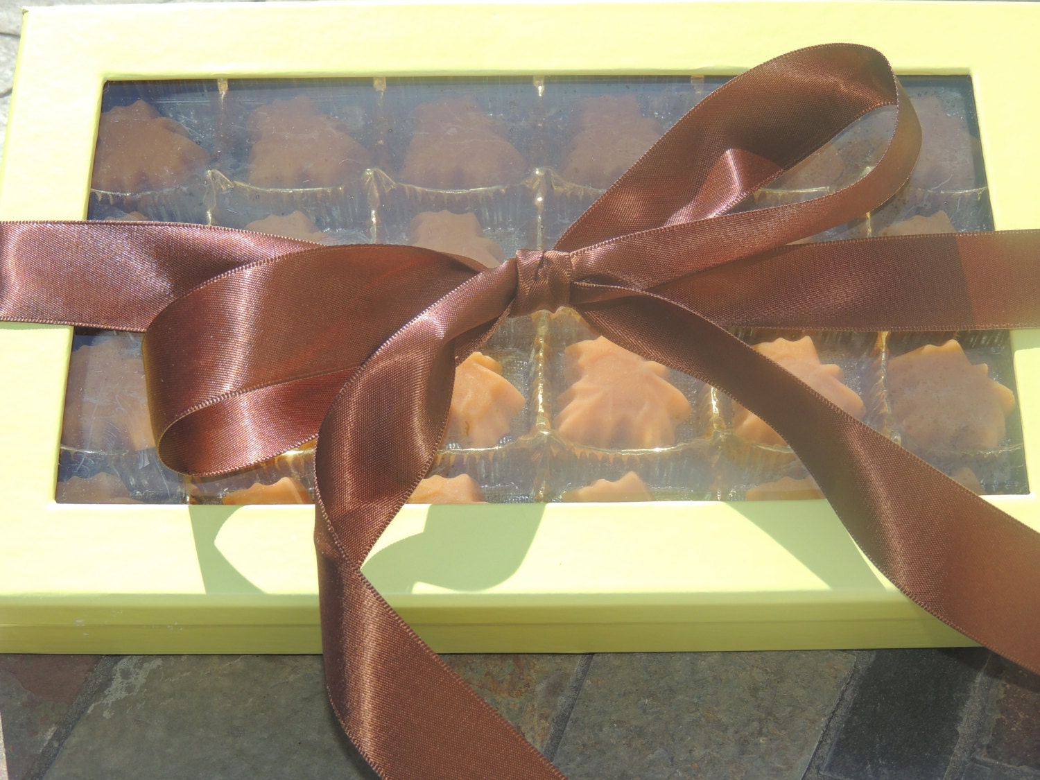 100% Pure Vermont Maple Candy in Fun GREEN/BROWN Gift Box Perfect For GIFT Giving