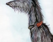 The Perfect Rogue - Lurcher Dog  Art Print - Large