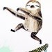 Articulated paper doll - Surfing skating sloth - DIY print set