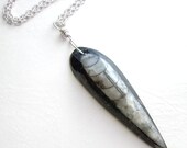Genuine Orthoceras Fossil Pendant, Black Cephalopod Jewelry, Science Necklace