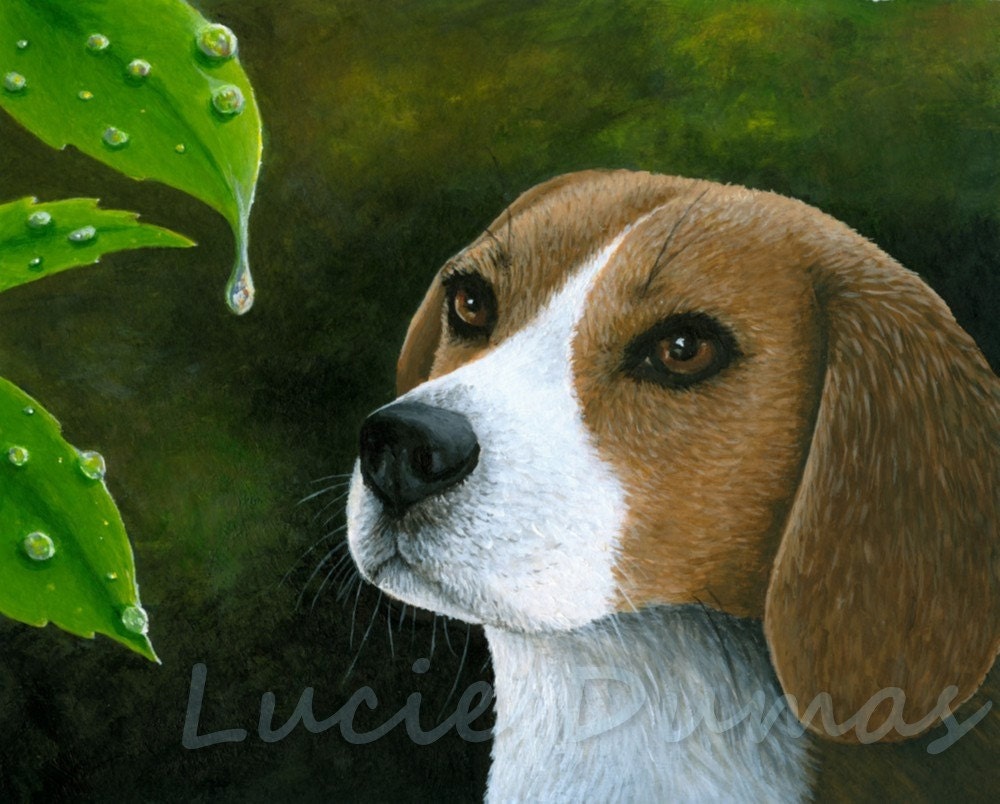 Art print 8x10 Dog 116 Beagle from original acrylic painting by Lucie Dumas