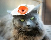 Hat for Cat - Tangerine Orange Flower