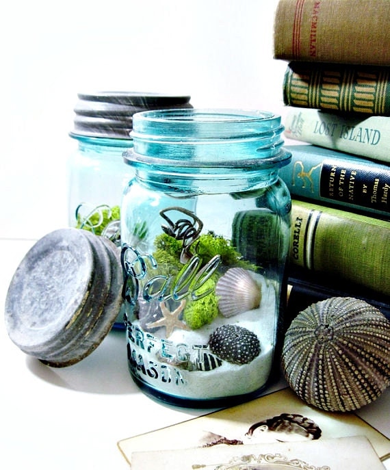 Upcycled Mason Jar Terrarium / Antique Blue Ball Mason Jar / Wedding Table Decor / Air Plant / DIY Terrarium Kit