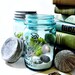 Upcycled Mason Jar Terrarium / Antique Blue Ball Mason Jar / Wedding Table Decor / Air Plant / DIY Terrarium Kit