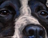 The Long Stretch, CUSTOM Pet Portrait Oil Painting by puci, 10x12"