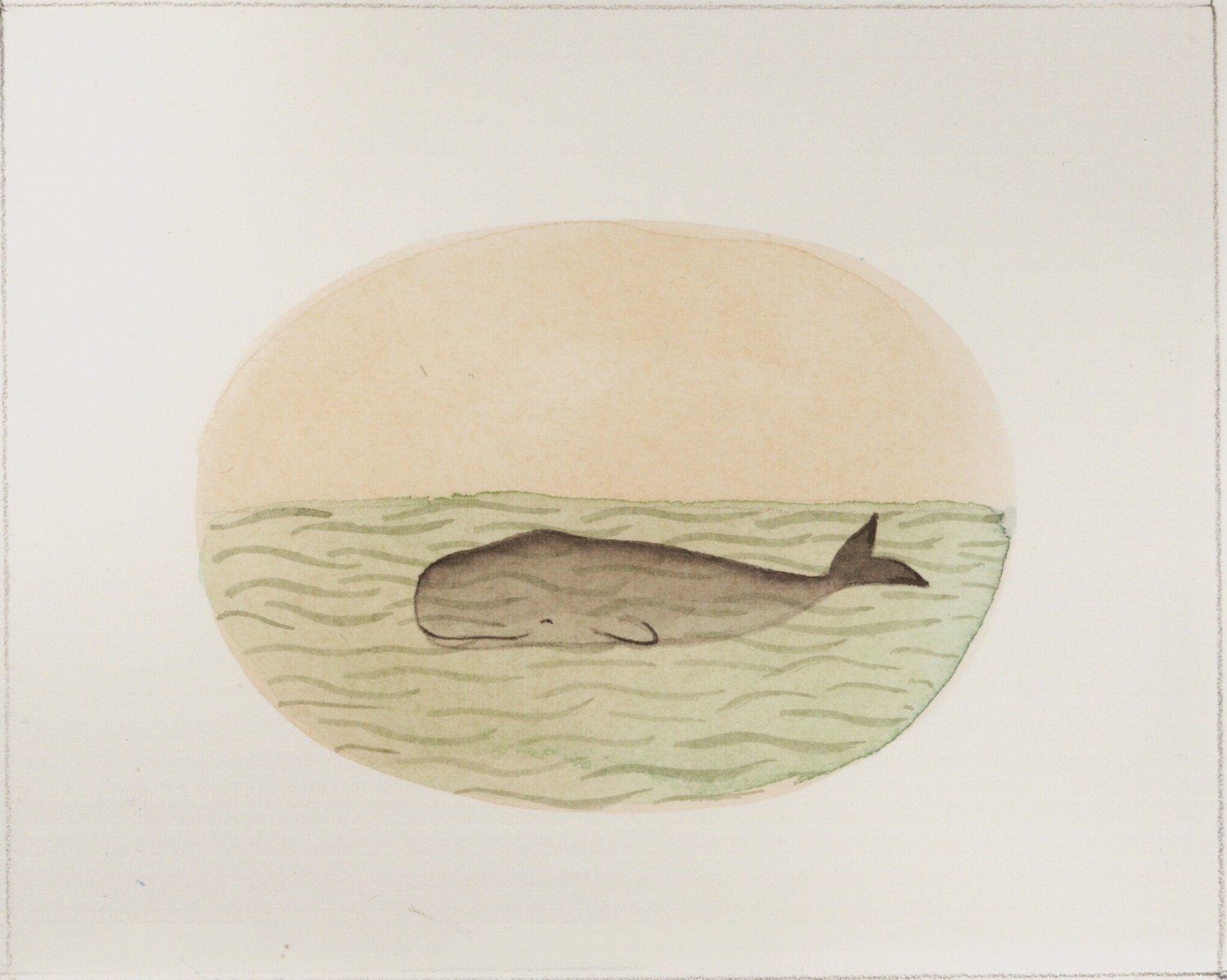 Whale 1