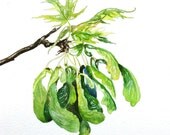 Watercolor Painting, Spring Leaves, Botanical Painting, 9"x11"