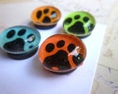 Colourful Paw Print - Glass Magnet Set
