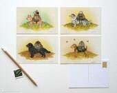 Pup Adventure Series - 4 Postcard Set