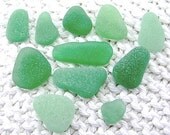 11 Piece Peacock Seaglass Gems (SG1235) Sampler Pack Blue Green Sea Glass