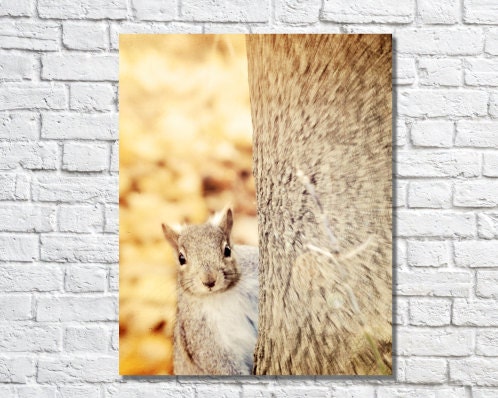 Nature Photography, Furry Friend, Squirrel, Landscape Photo, Orange Brown, Autumn, Wall Decor - Hello Friend (8x10)