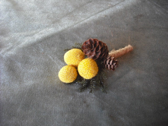 Simple boutonneire made with dried Craspedia and pine cones with twine covered stem.