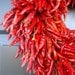 Organic Red Chili Pepper Wreath, Kitchen Centerpiece, Wall Decor, Housewarming Gift, Herb Wreath, Southwest Decor, 16 inch
